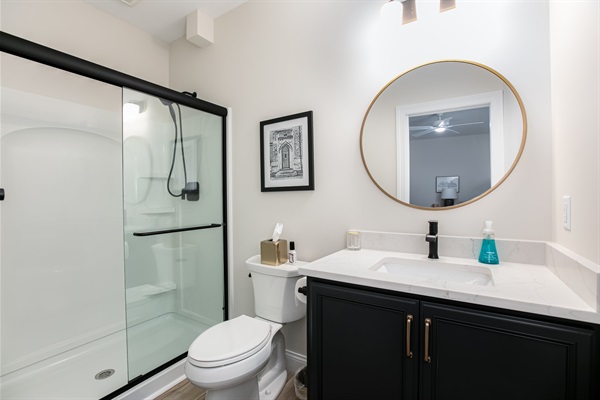 Basement Bathroom