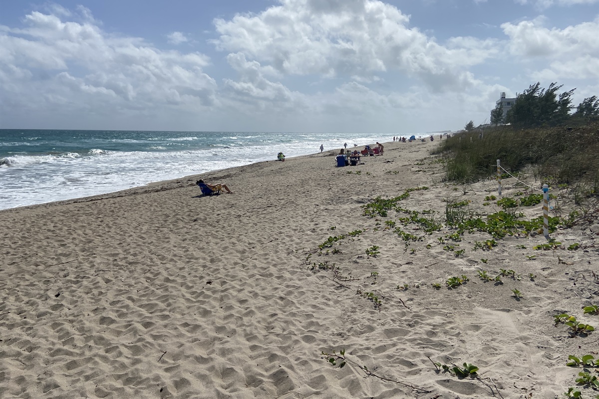 View from the Venture III Beach Access Path