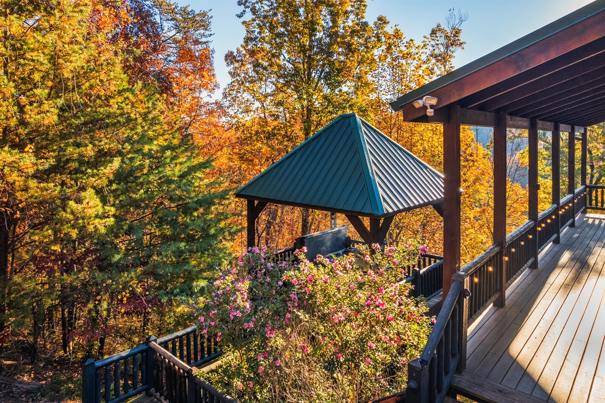 Your private slice of paradise.