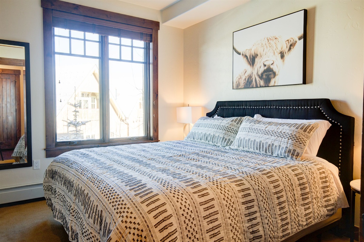 Spacious 2nd bedroom