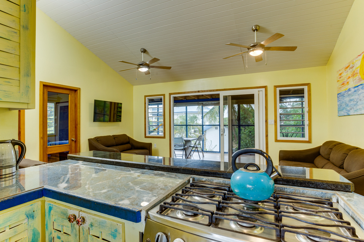 Kitchen with a View