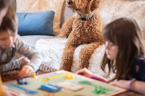 We Love Dogs! Bring Your Buddy Along For ENTIRE Family Time Away.
