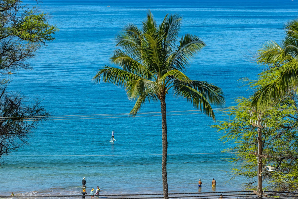 Watch Beach Activities From Your Own Balcony