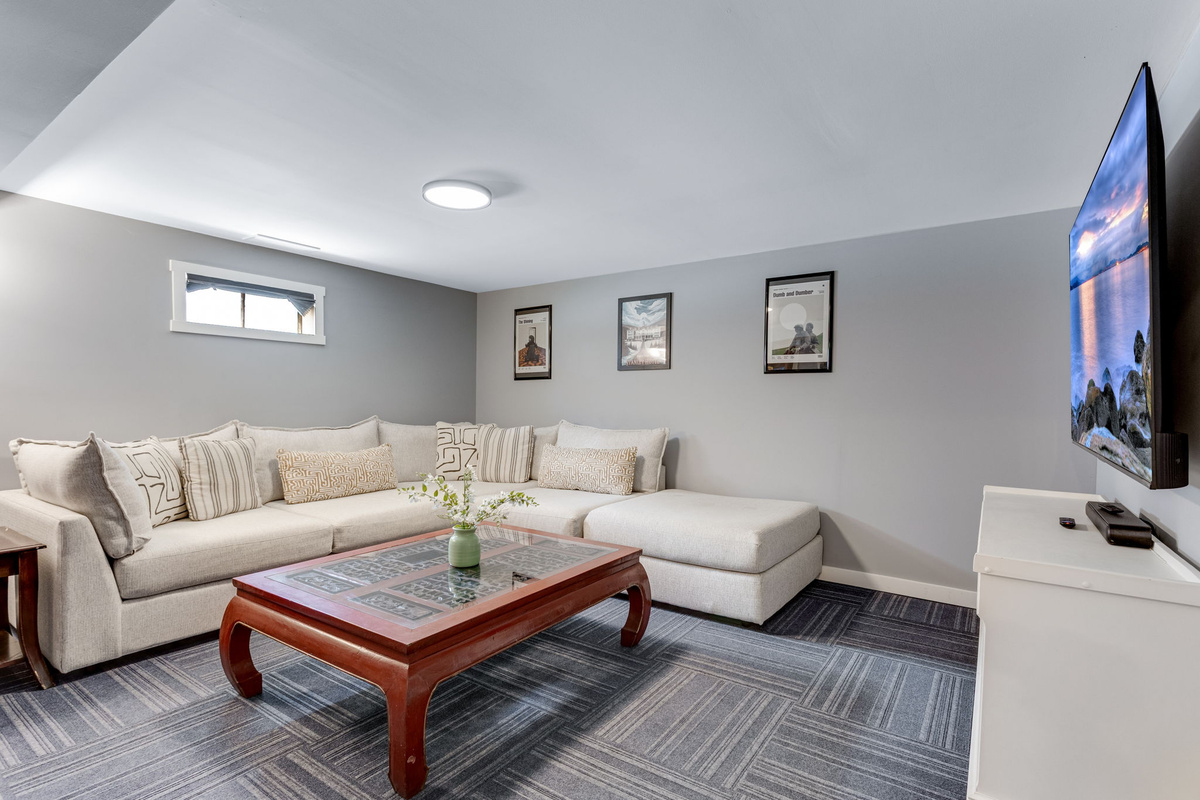Downstairs Family Room
