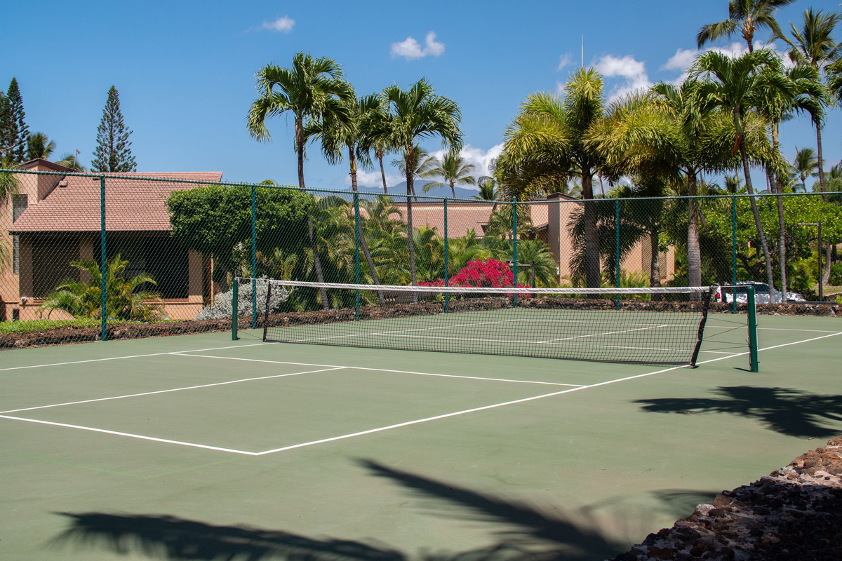 For all you pickleball enthusiasts!