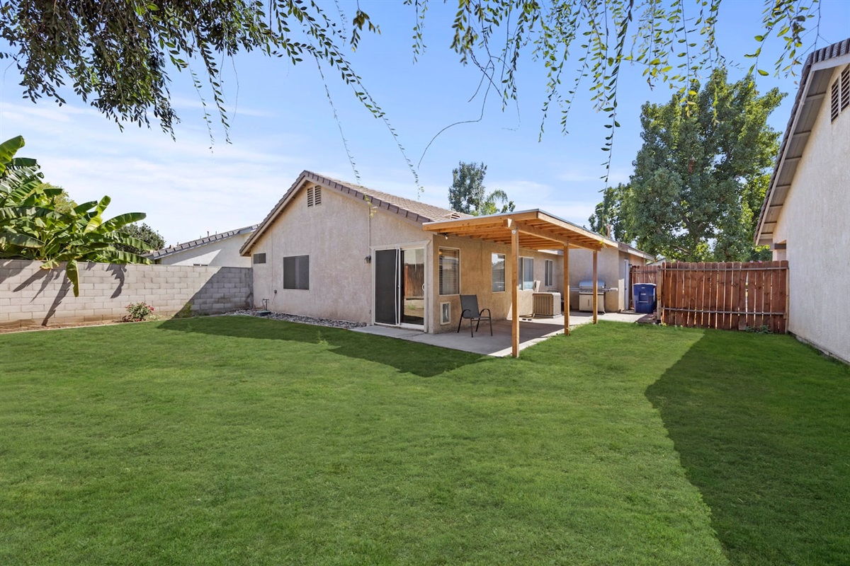 Back Yard