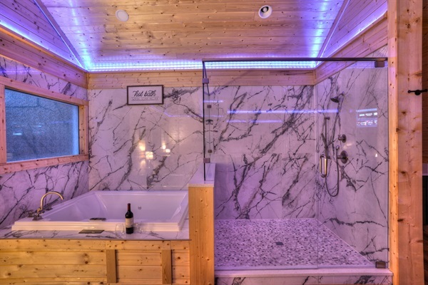 Huge Walk in Shower and 2 Person Spa