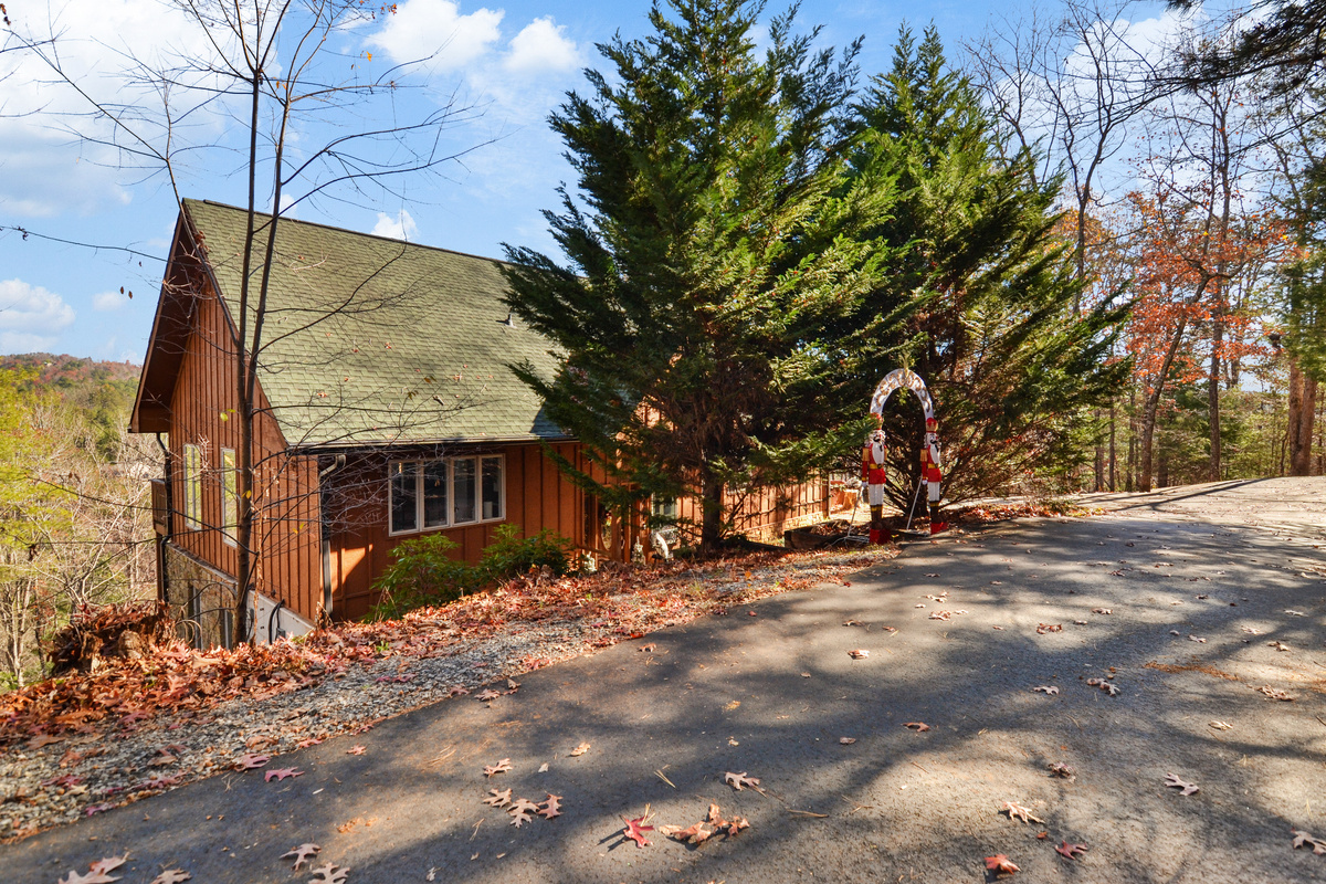Nestled in the trees!