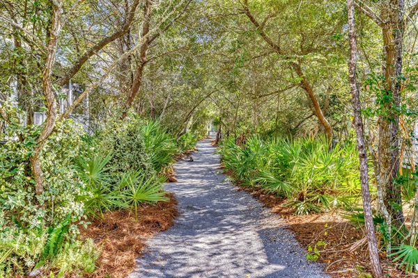 Tranquil walking trail right in the backyard