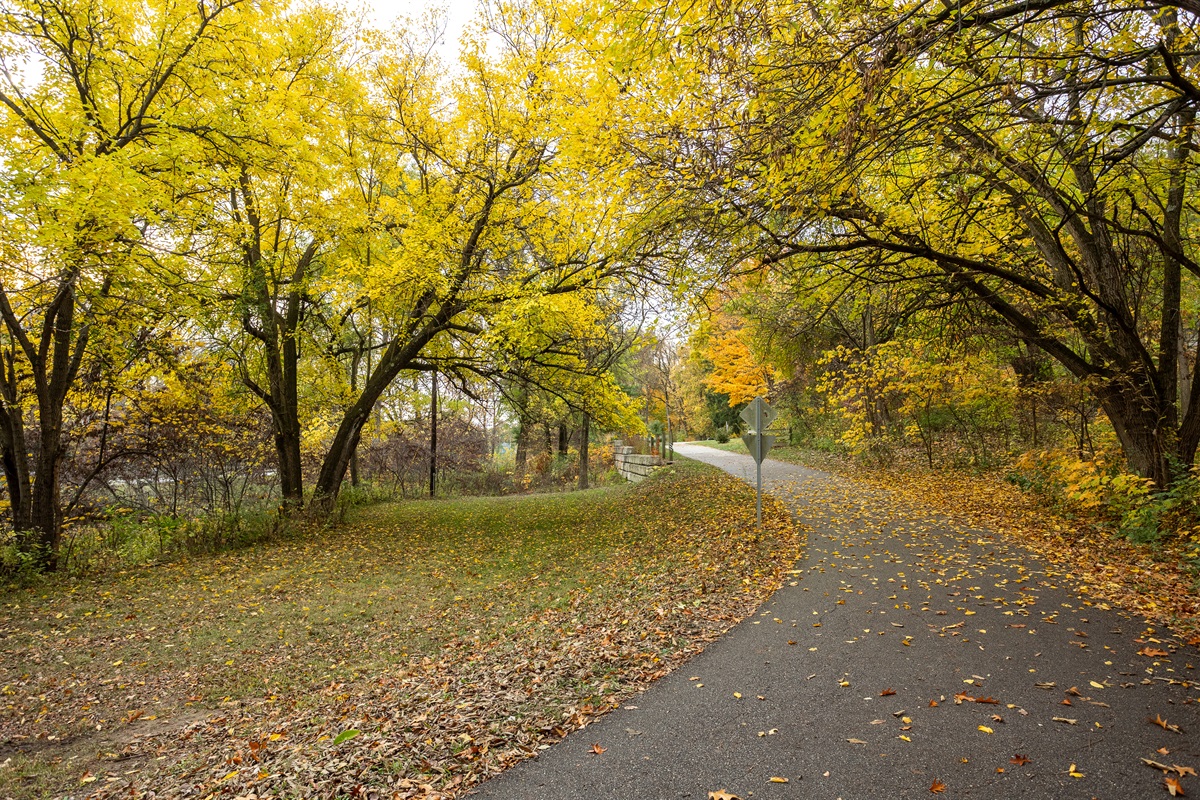 Enjoy a morning or evening walk through the woods of Happy Hollow Park