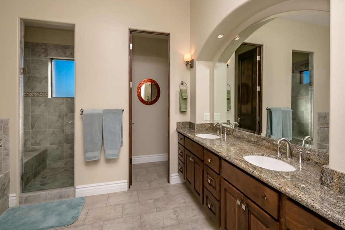 Master Bathroom  Tub & Walk In Shower