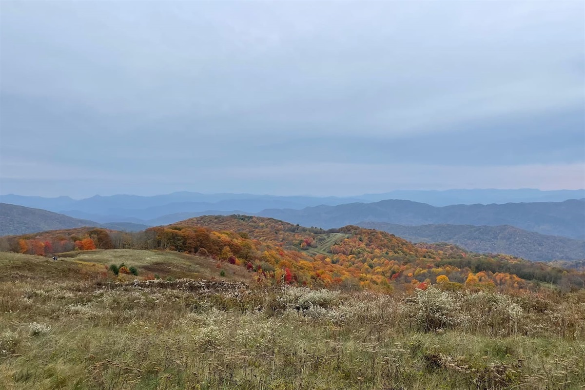 Fall colors from the top of Max Patch