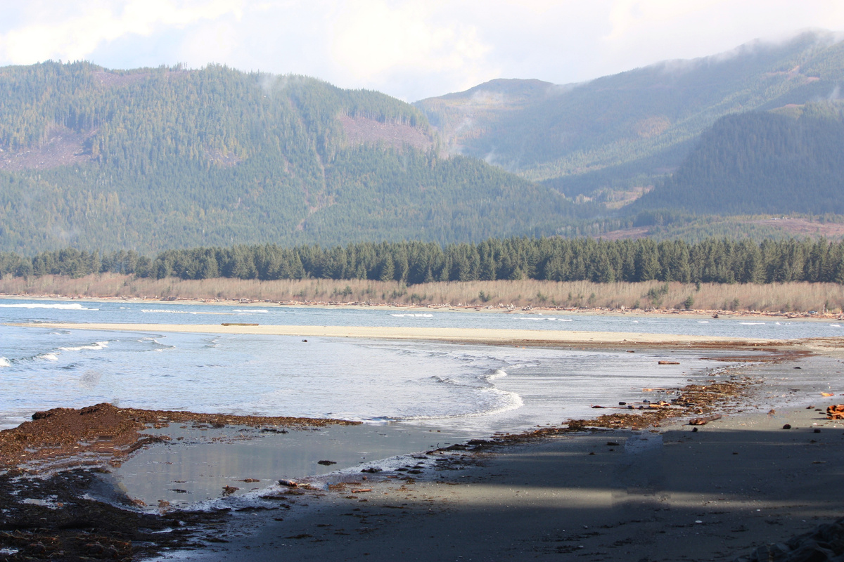 Pacheedaht Beach, at low tide