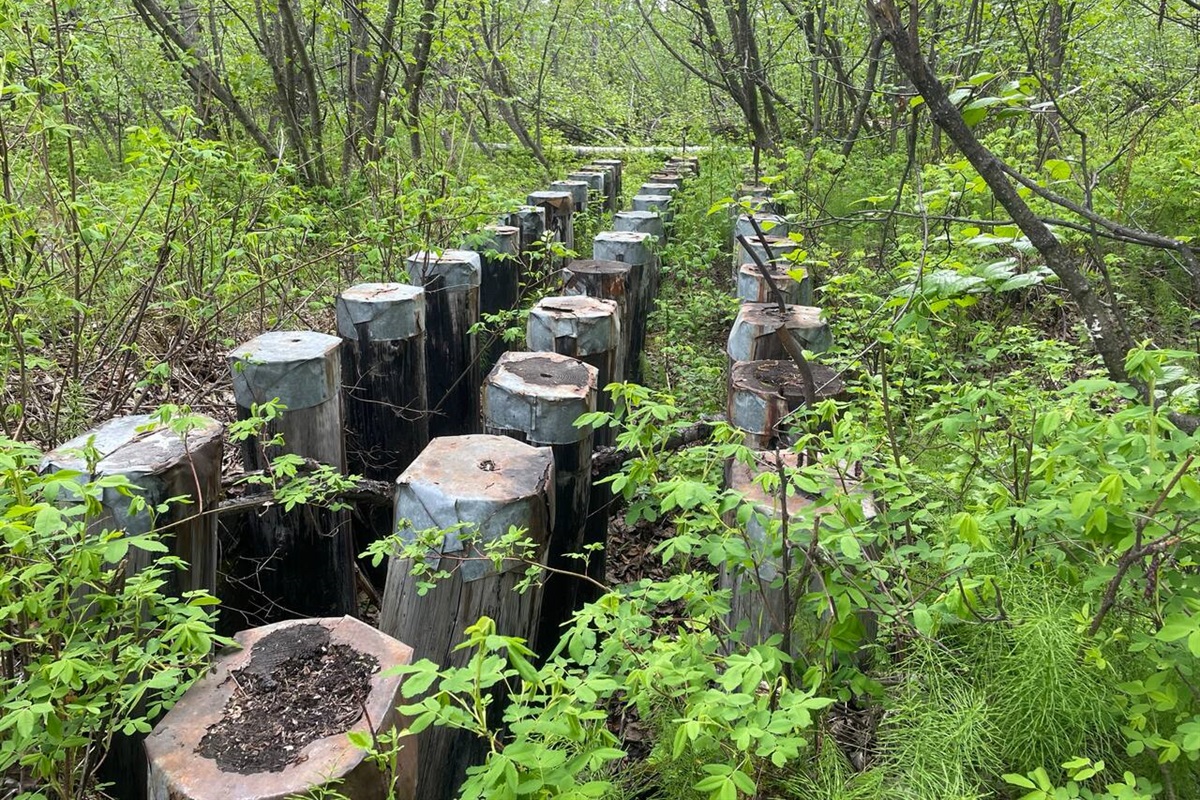 Nearby hiking trail - Palmer Rail Trail