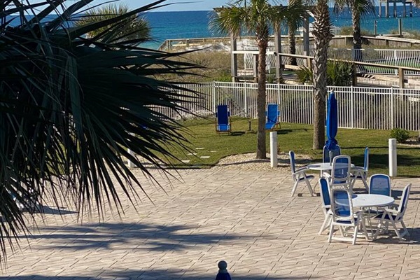 View from the Gulfside pool!  