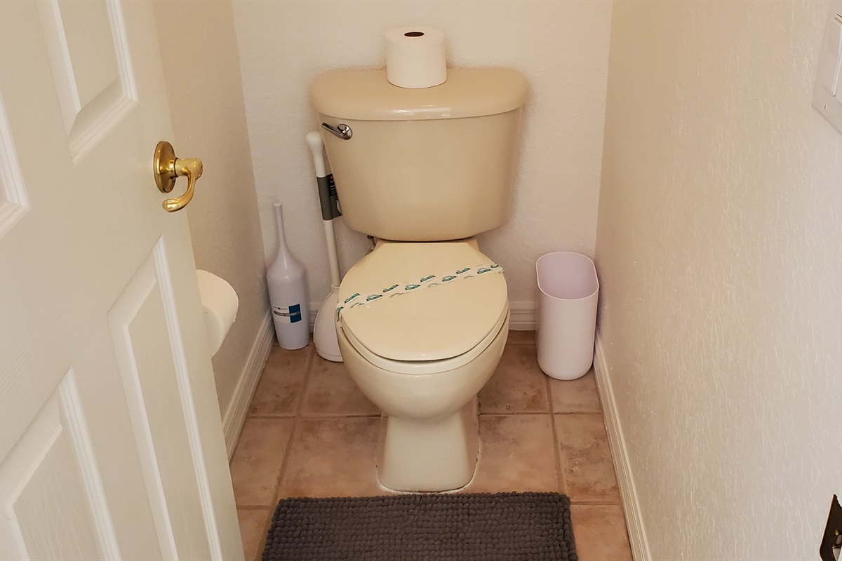 Master Queen bathroom toilet