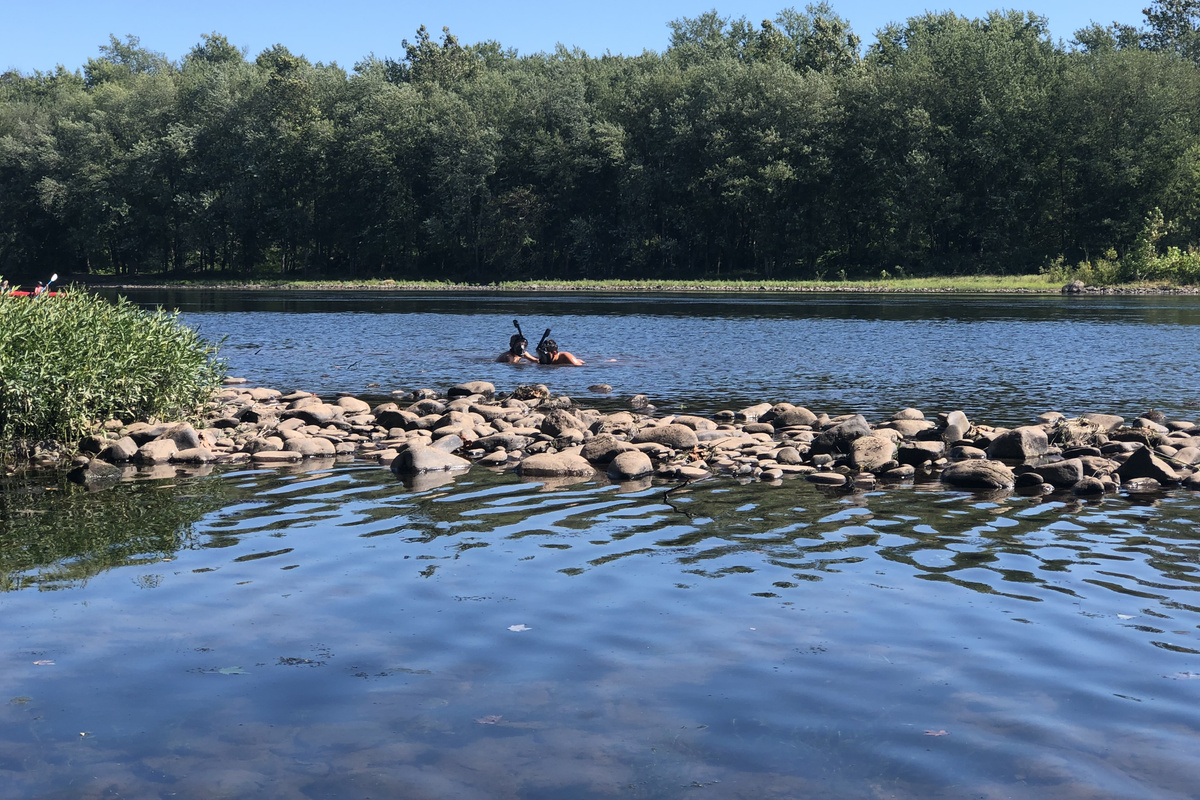 Swim, snorkel and fish right in your backyard.