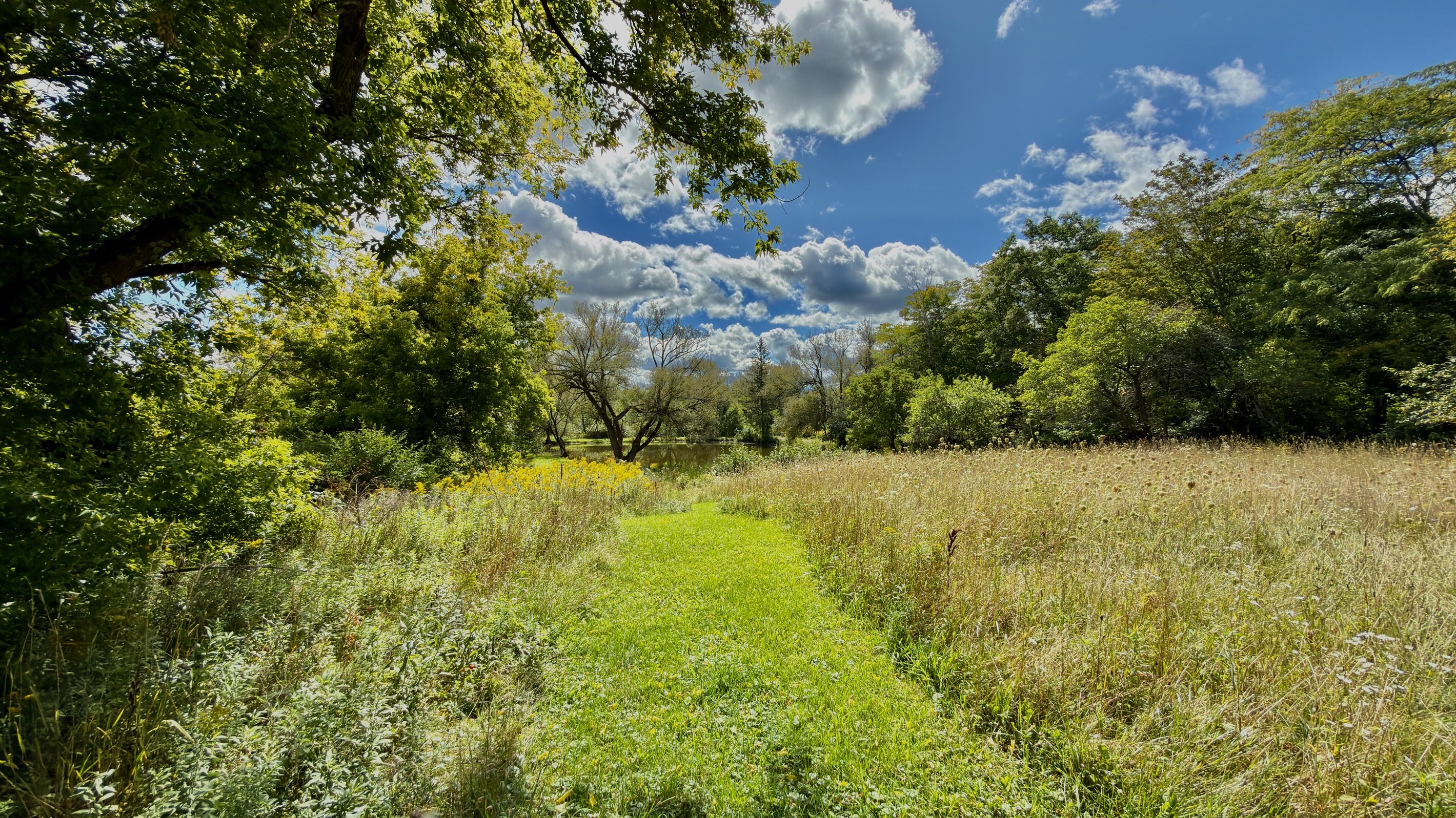 Take a sunlit afternoon stroll along the private trail, surrounded by summer wildflowers, mature trees, and open blue skies.