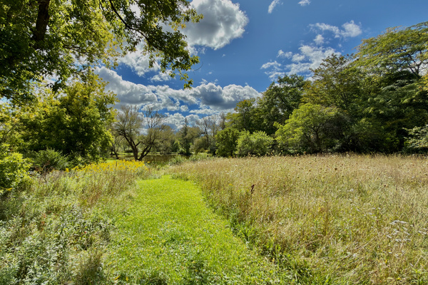 Take a sunlit afternoon stroll along the private trail, surrounded by summer wildflowers, mature trees, and open blue skies.