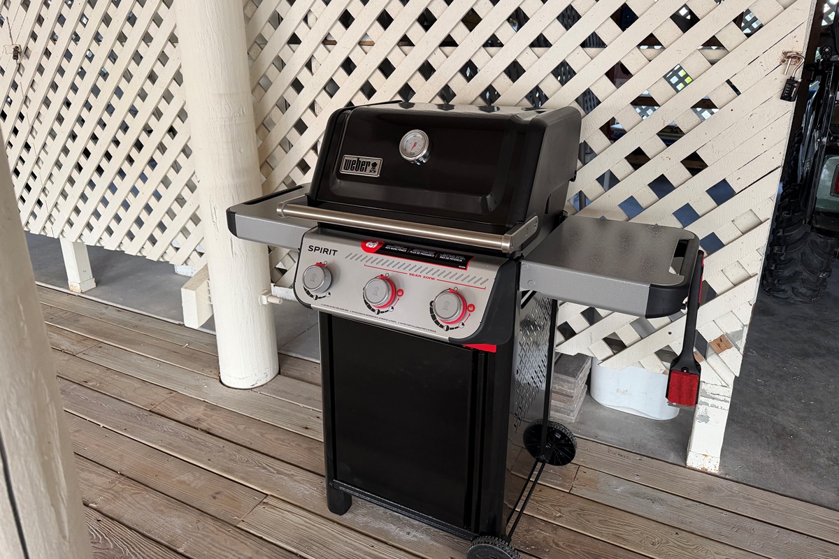 BBQ gas grill at the unit