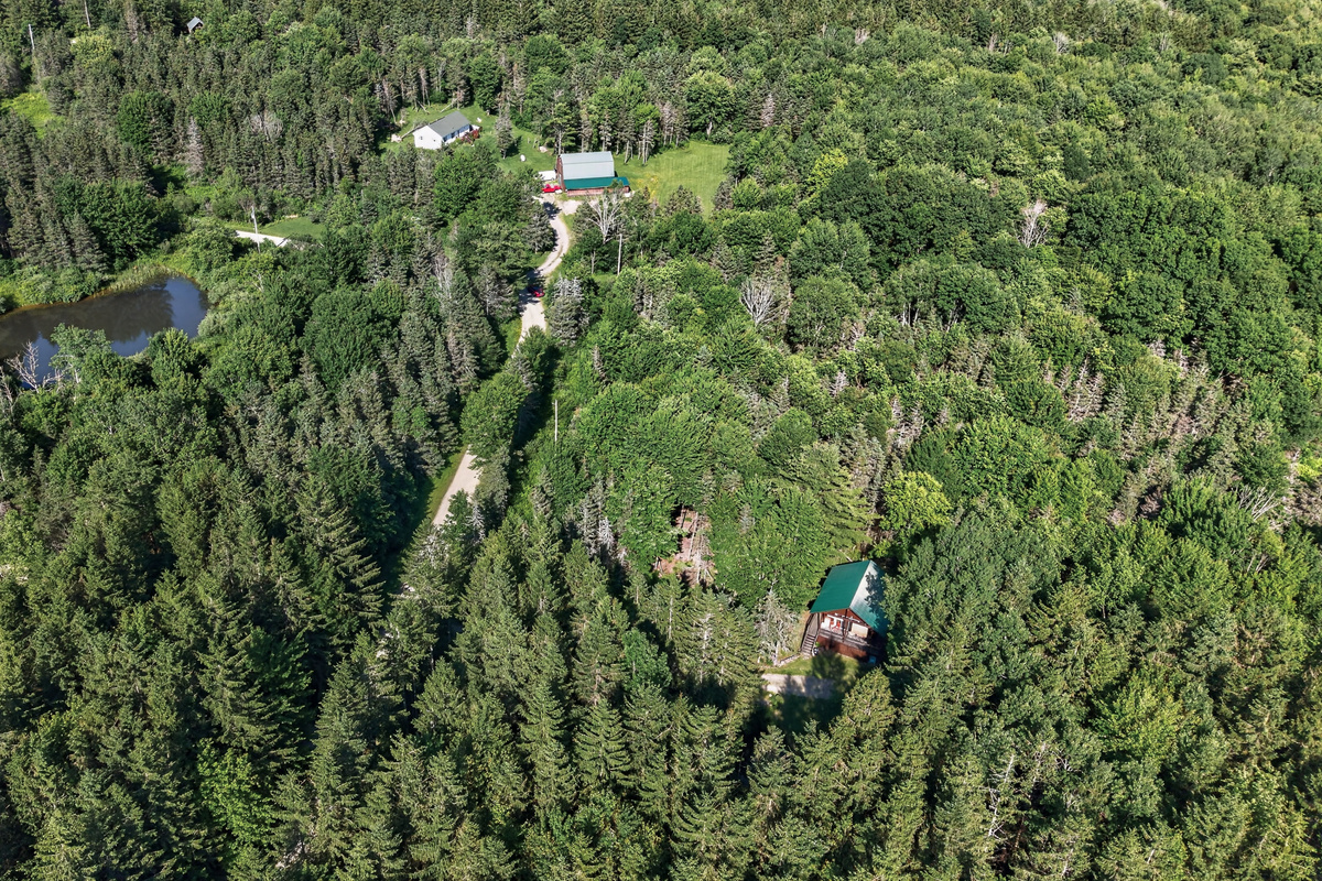 Wooded surroundings viewed from above