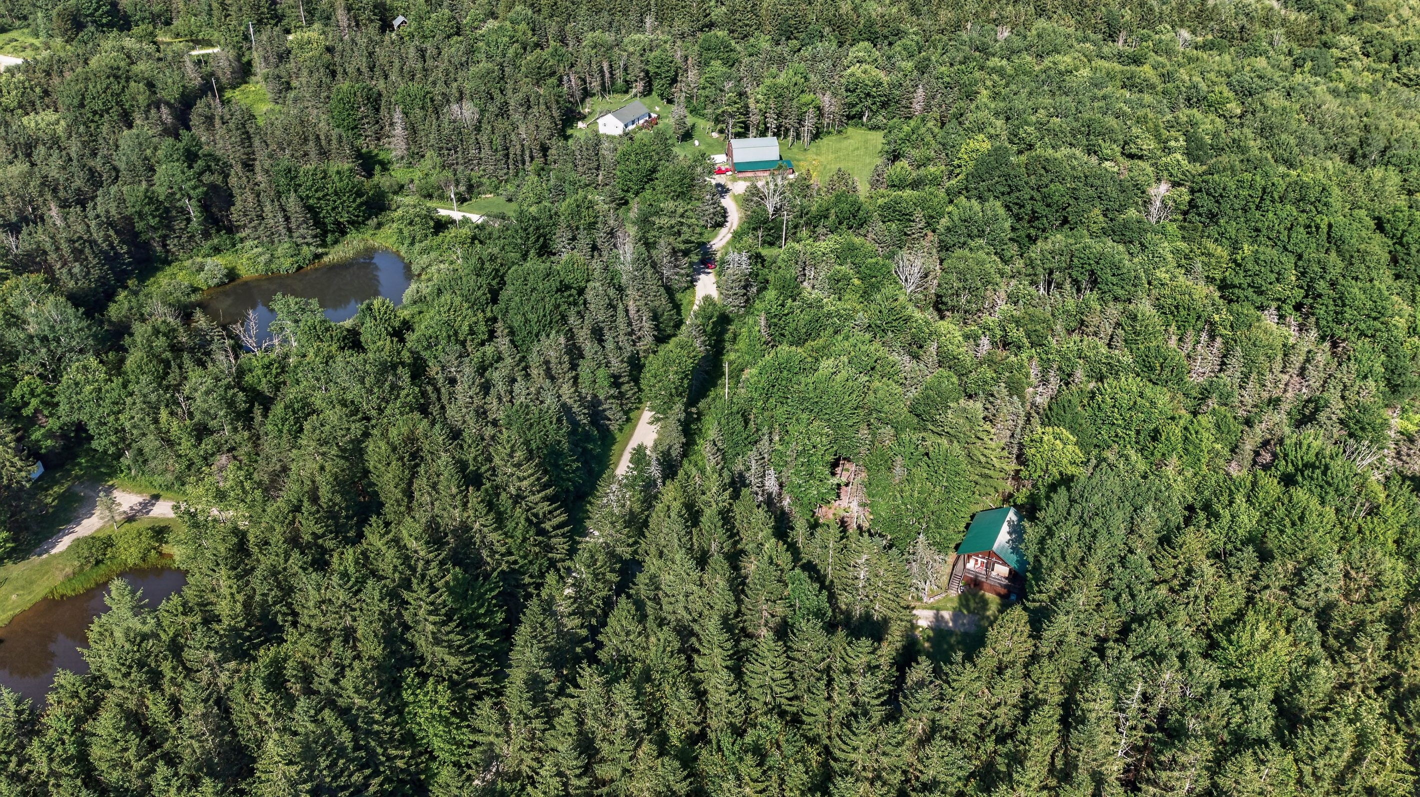 Wooded surroundings viewed from above