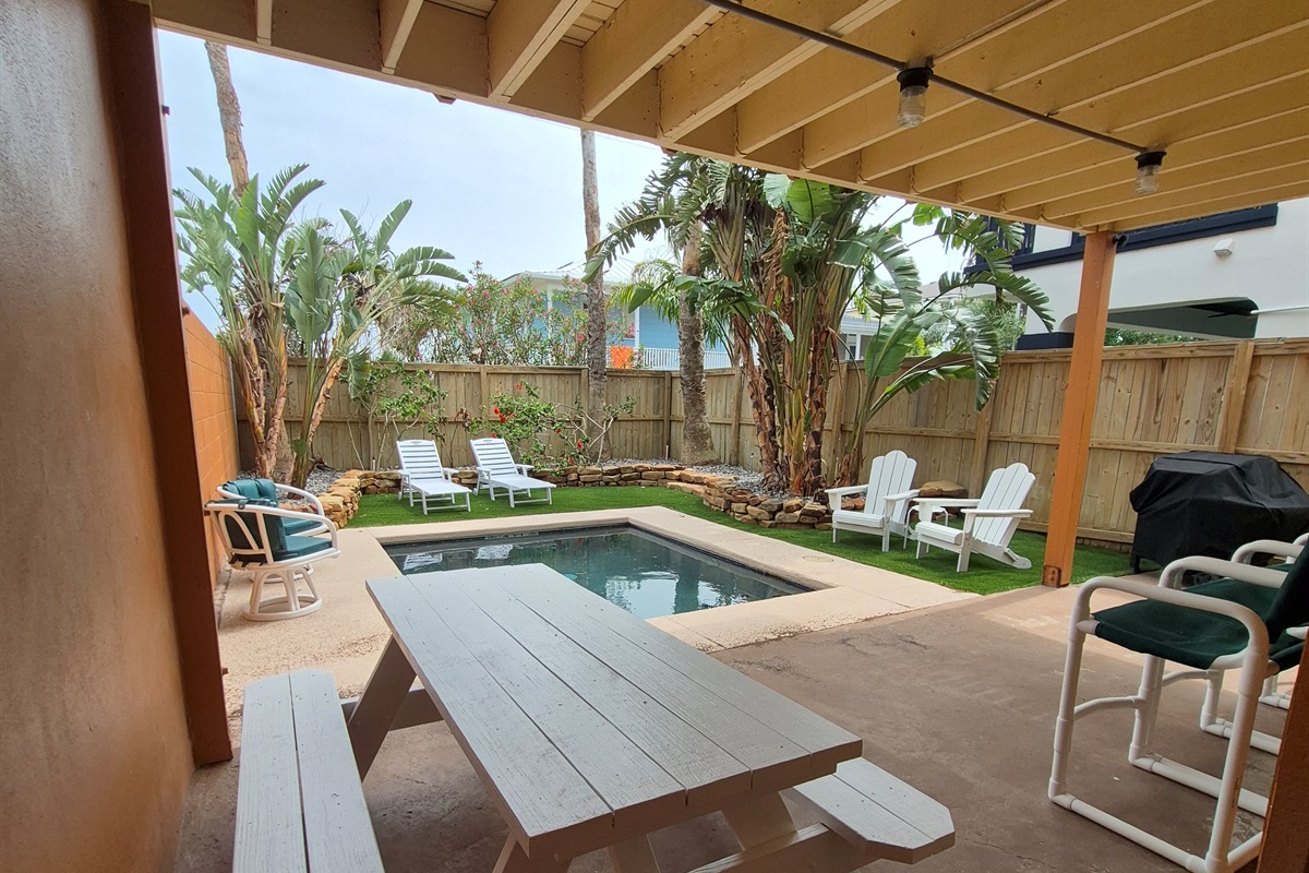 Unwind in our tropical backyard featuring thoughtfully designed landscaping, sparkling dipping pool, and lounge seating.