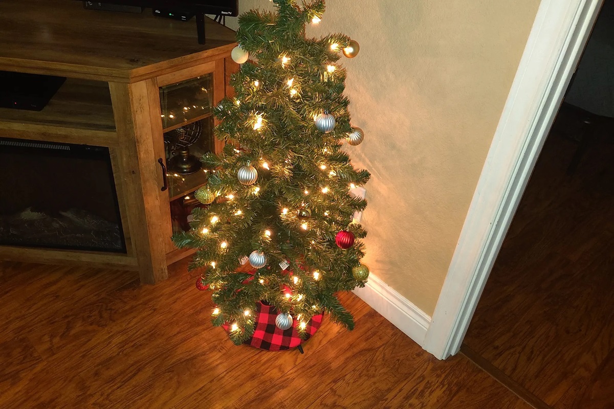 Merry, bright, and feeling alive!