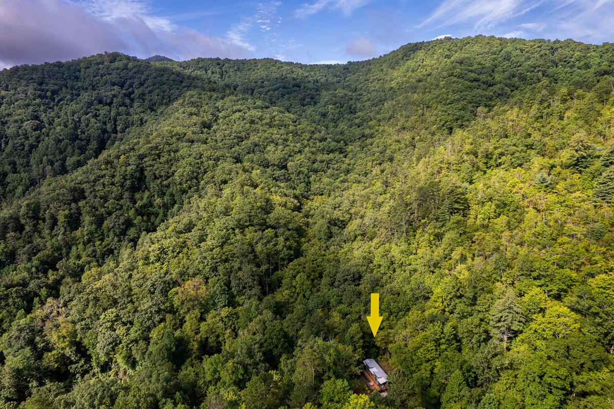 Surrounded by forest and framed by mountain layers—privacy at its finest.