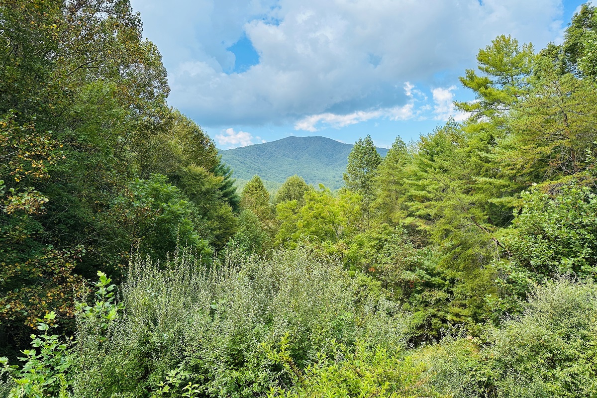 View of majestic Bluff Mountain from the back porch
