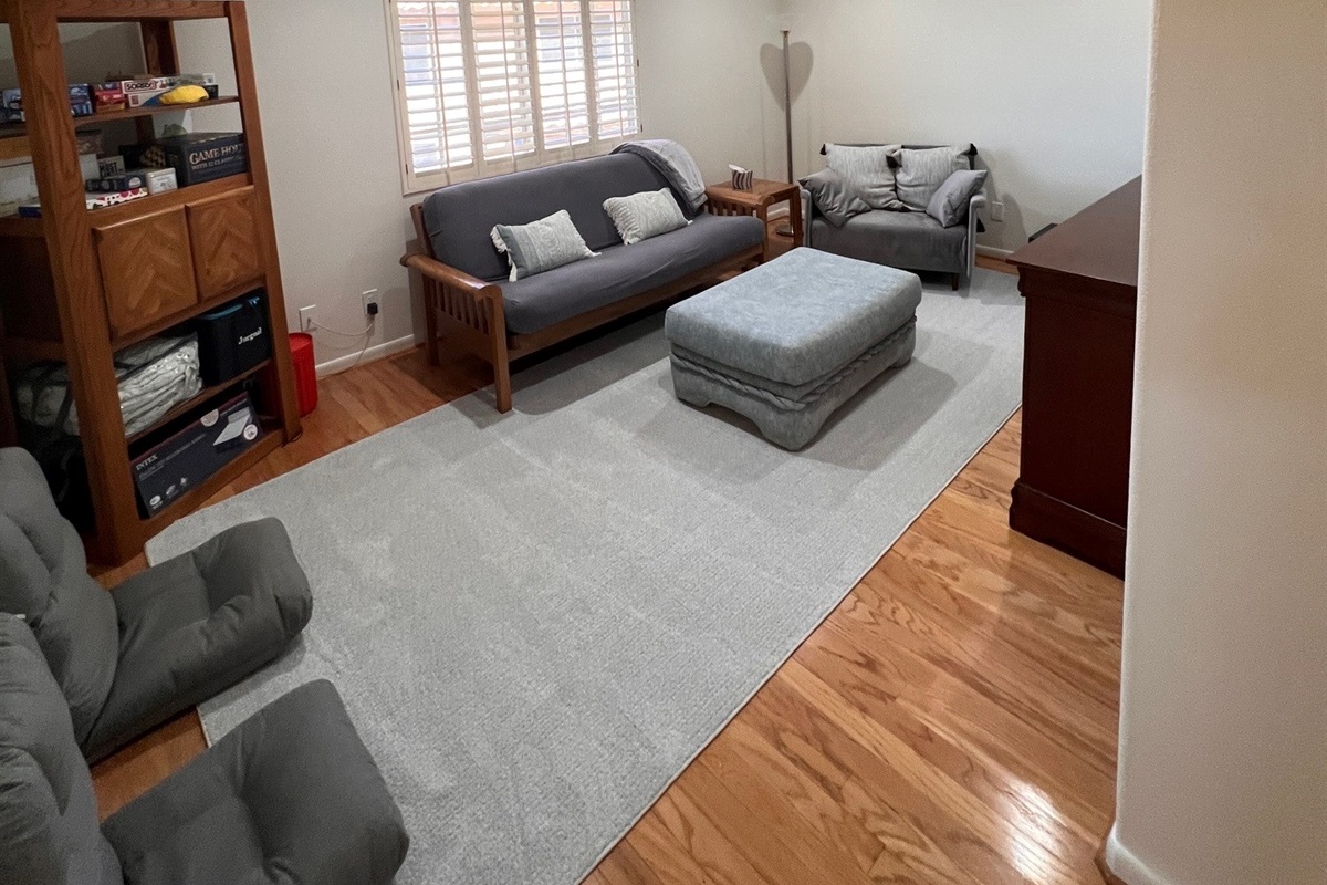 Den/ Game Room with Futons