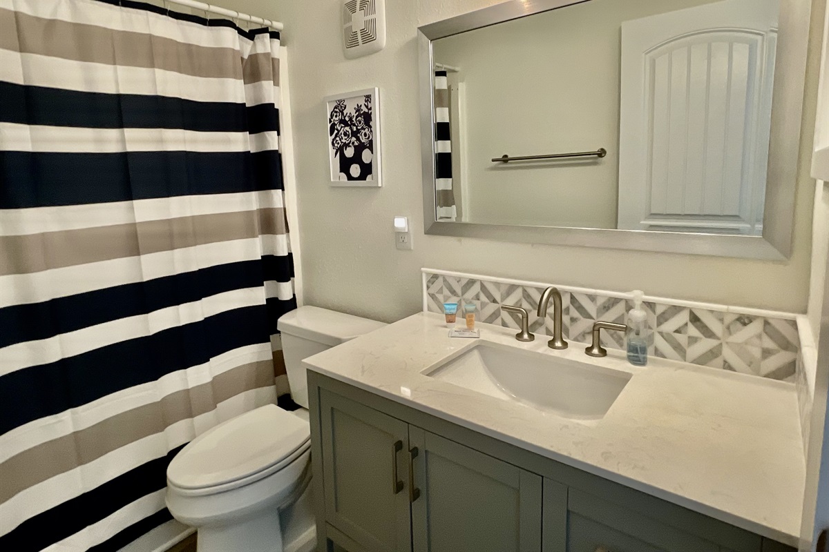 Master bathroom with a tub/shower combo.