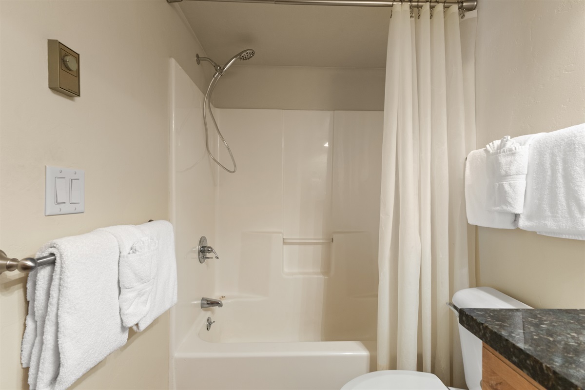 Bathroom | Shower and Tub Combo