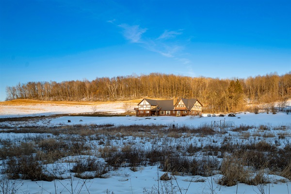 The wildflower field in early spring.