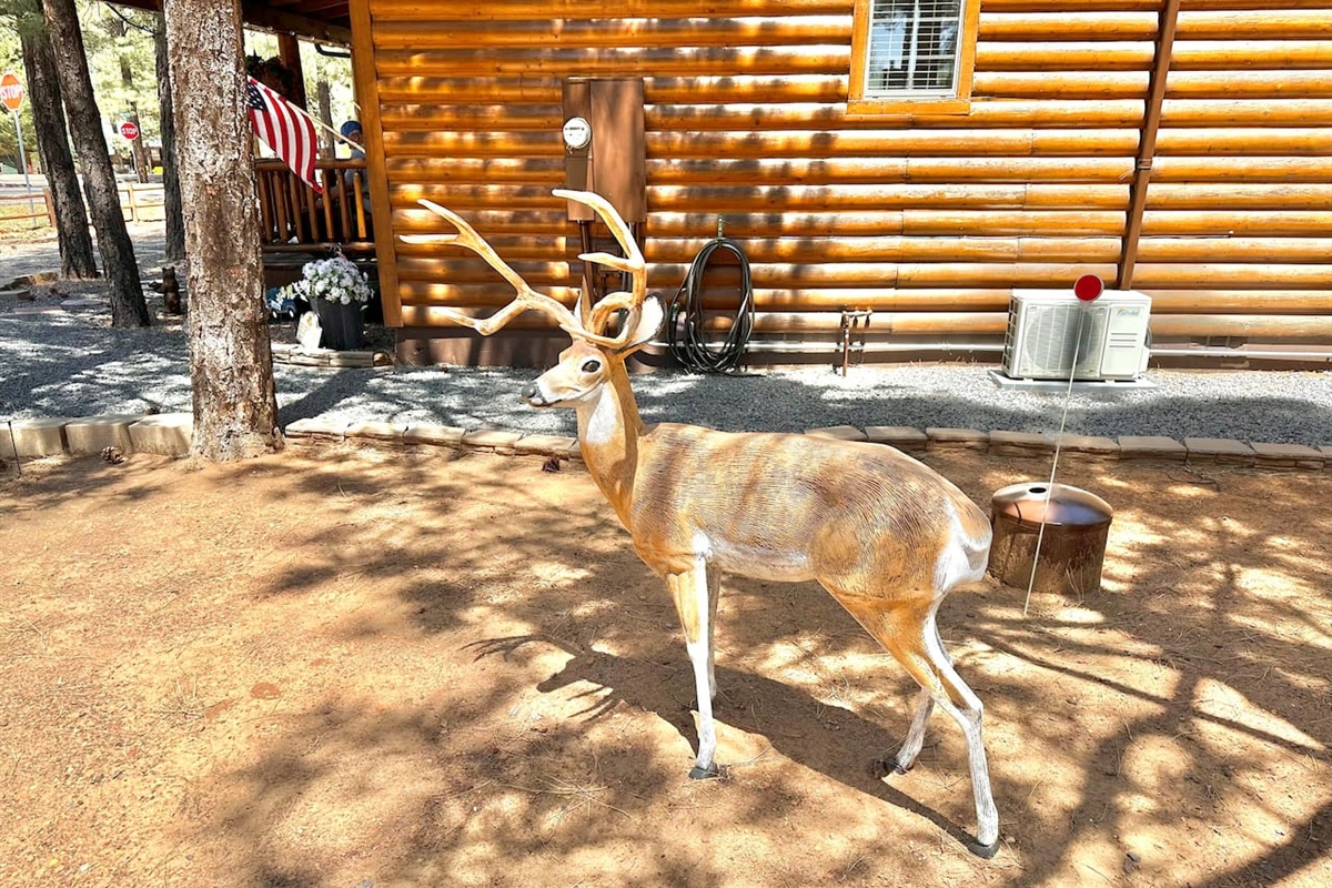 Full size animal sculptures for that fun mountain feel!
