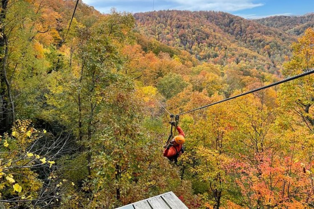 Nearby Zip lining!
