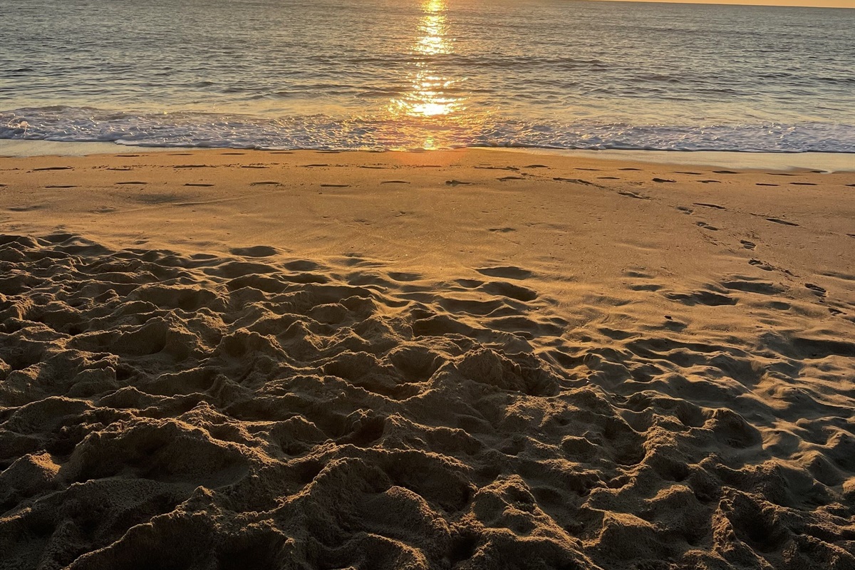 Sunrise over Dewey Beach