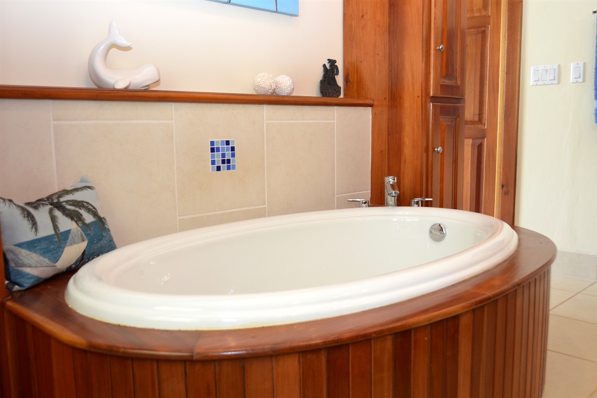 Main Bathroom Tub