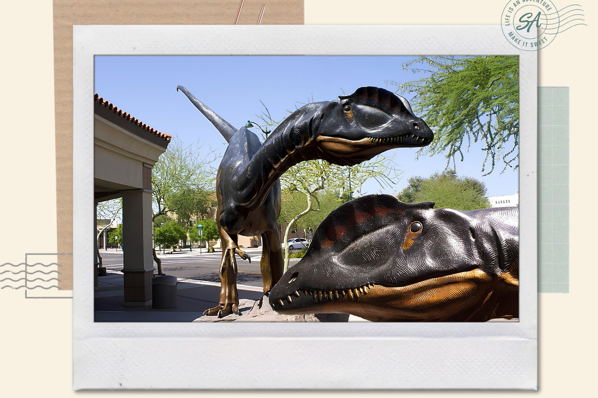 Arizona Museum Of Natural History

Dinosaurs, fossils and Arizona history in downtown
Mesa, including the museum's three-story Dinosaur
Mountain.

The house is just 13 minutes away from the attraction.