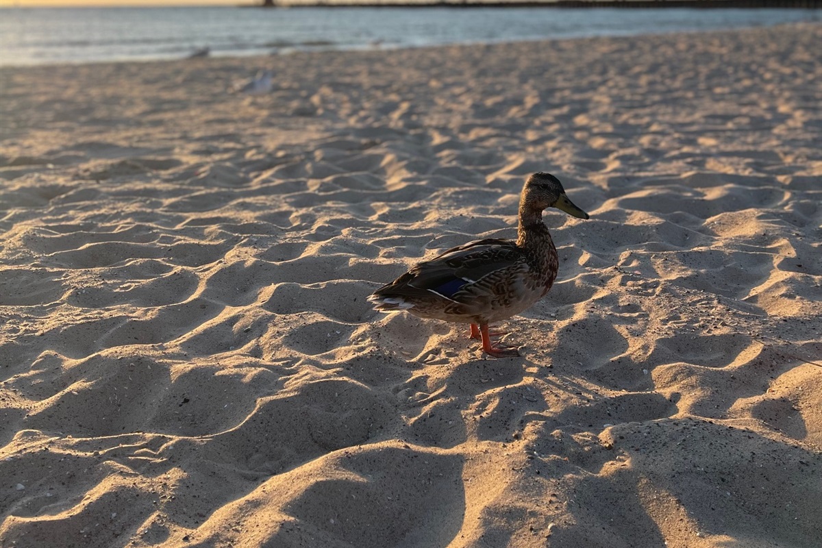 You really can't get enough of these gorgeous views at the beach.