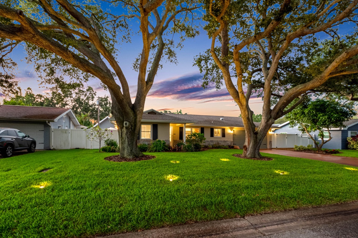Front Yard