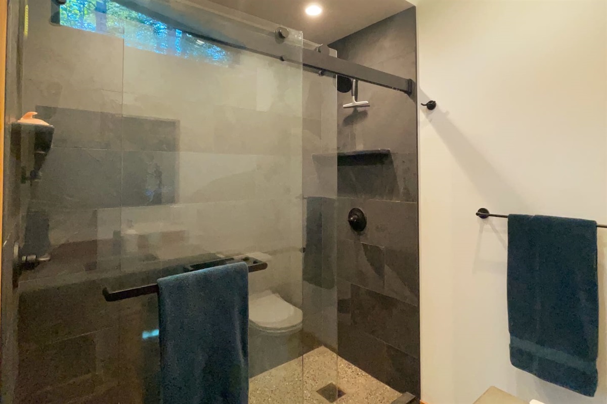 Master bathroom with dual shower heads, concrete countertops, lighted mirror w/defogging