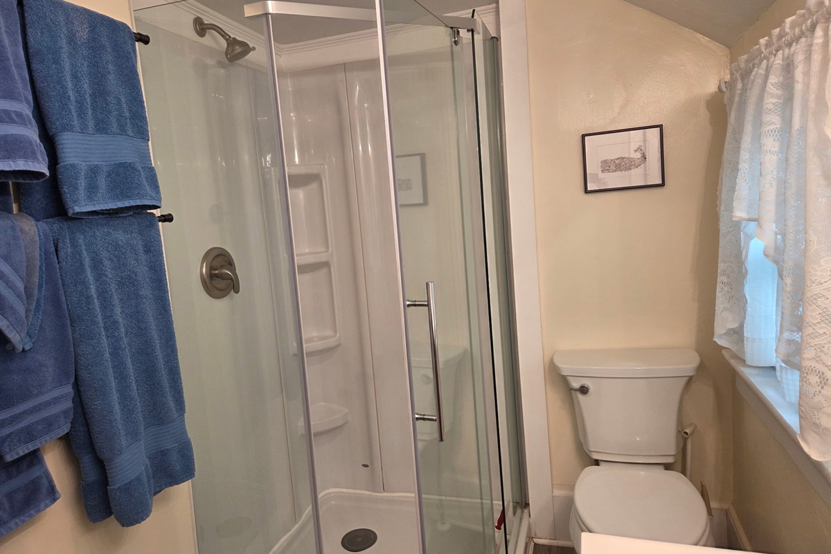 2nd Floor hallway full bathroom with shower.