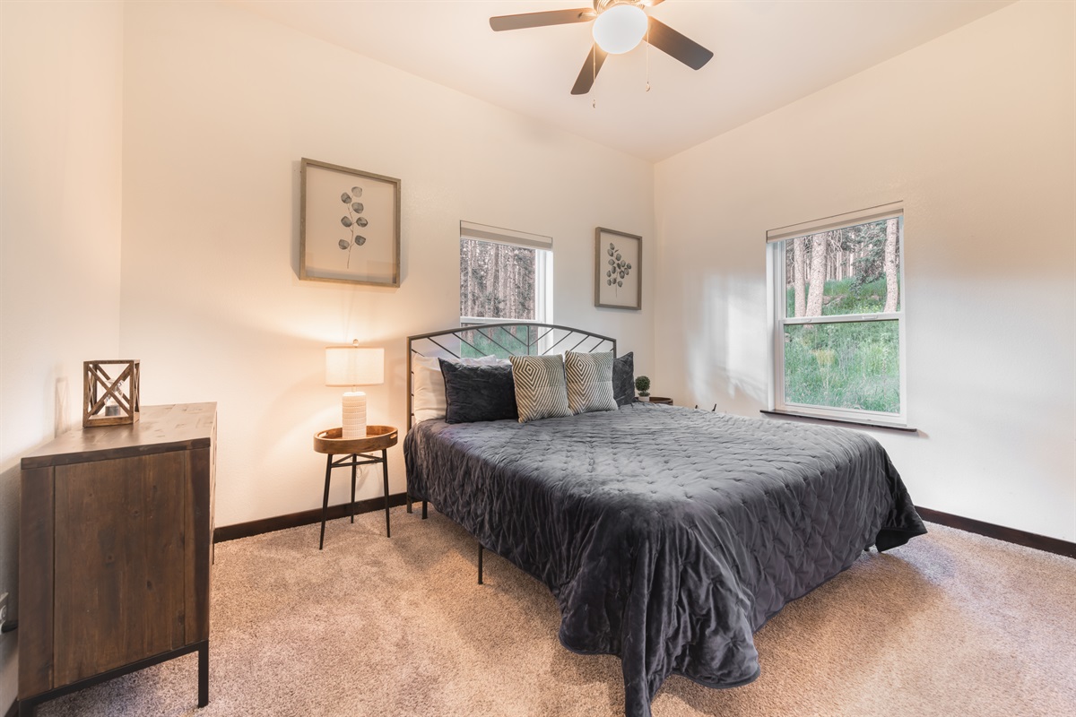 Master bedroom with king size bed