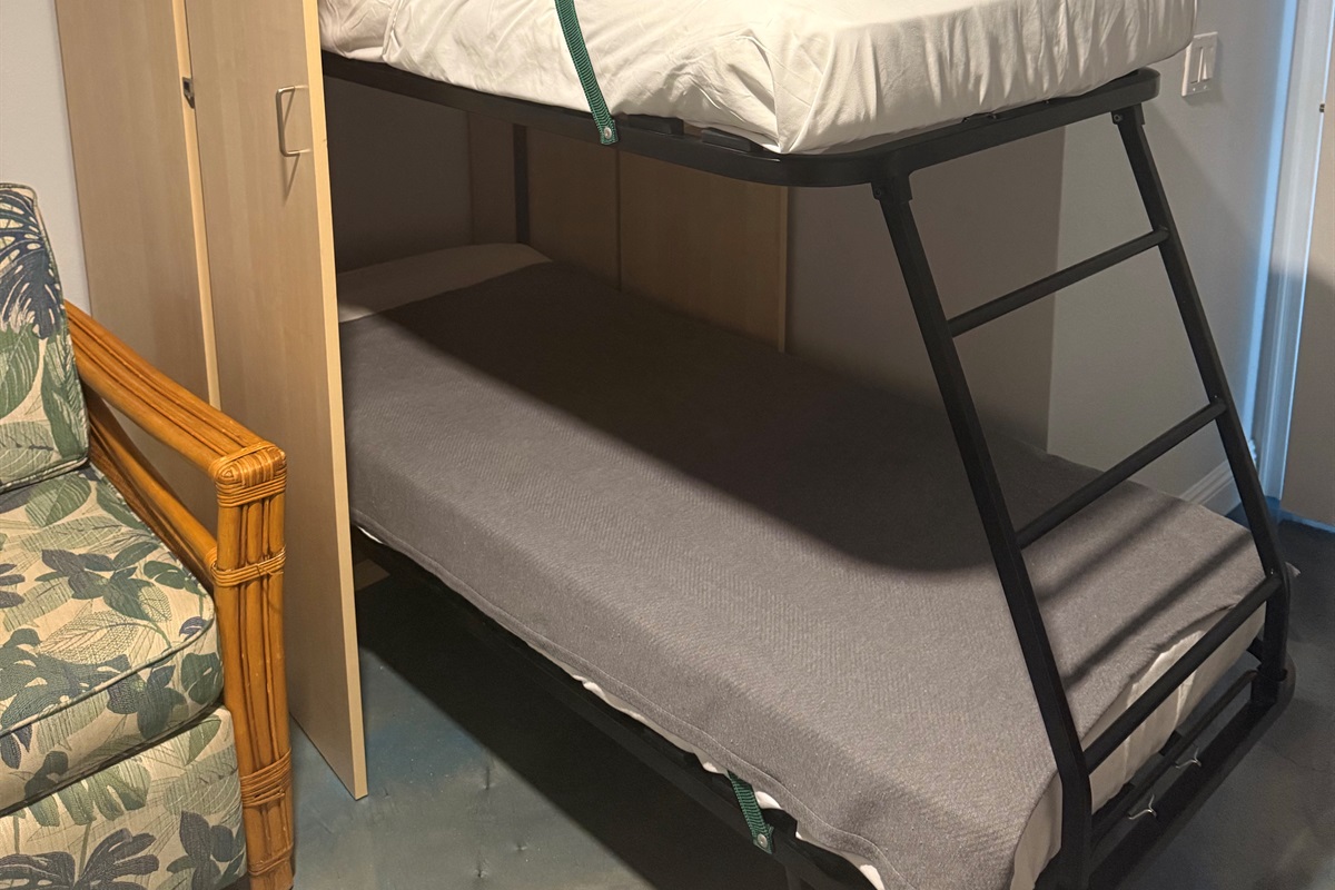 Murphy type bunk bed