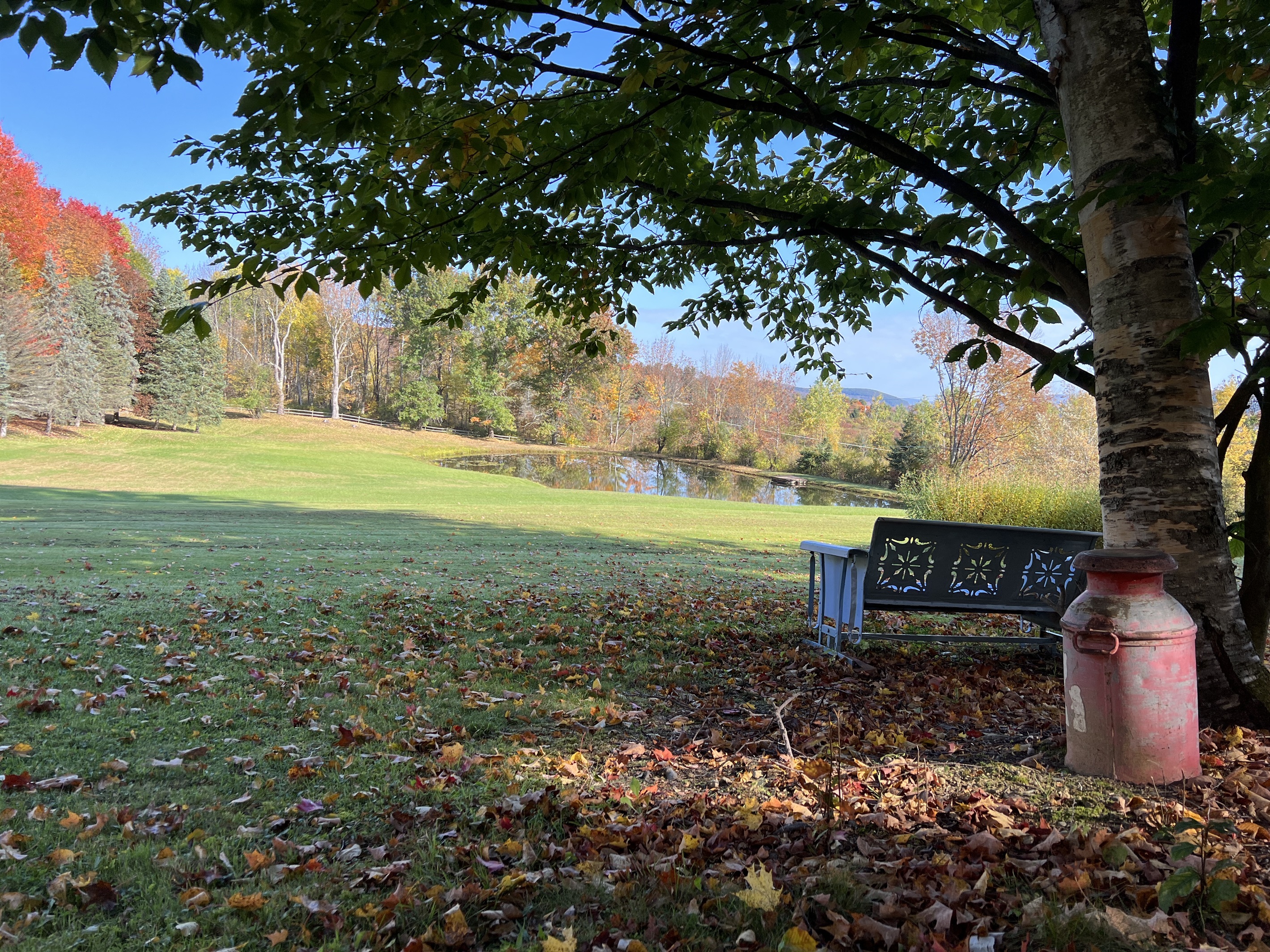 Pond view from front yard