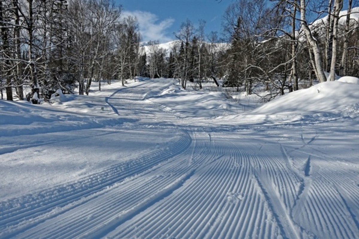 Make time for some Nordic skiing.