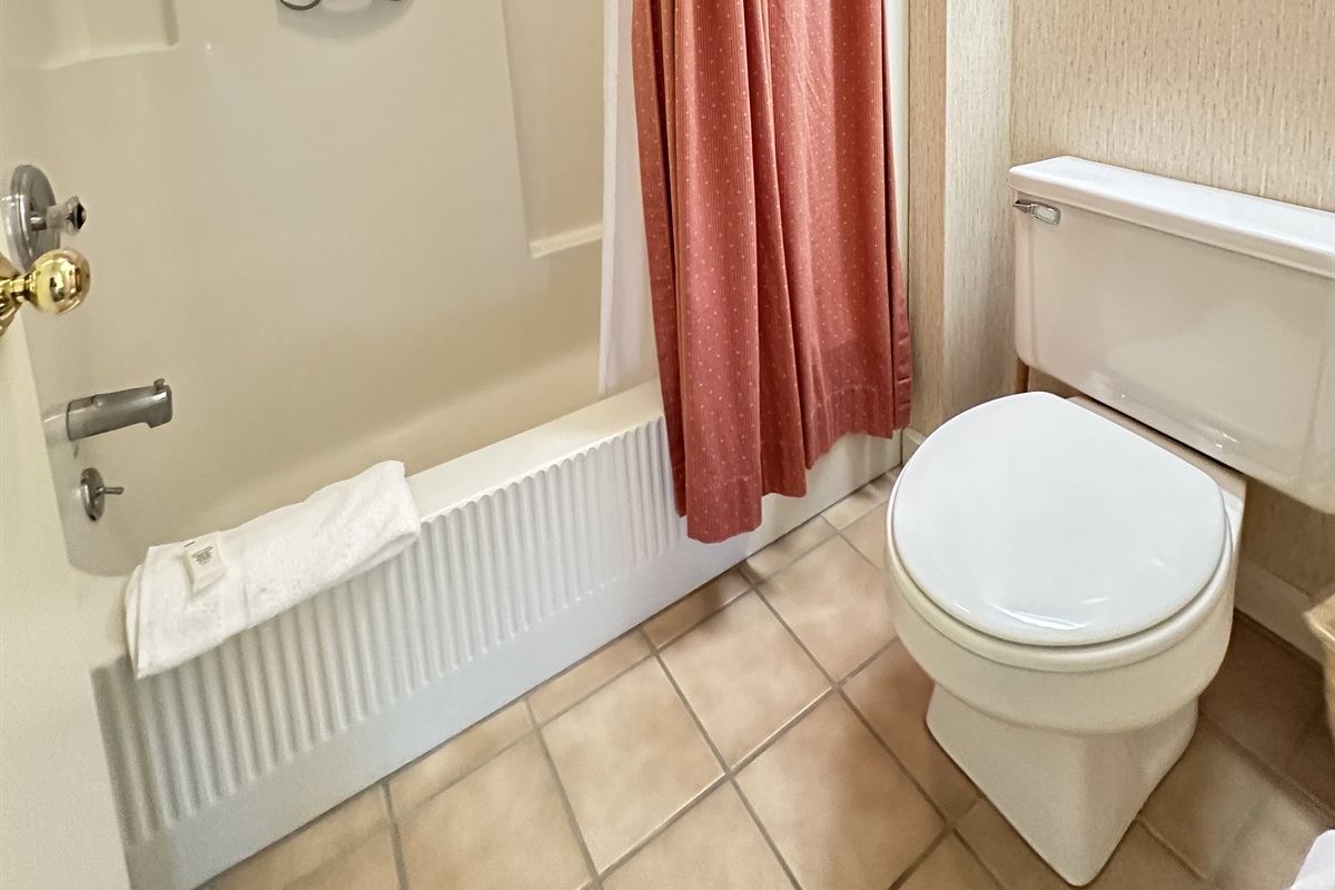 Primary Suite Bathroom