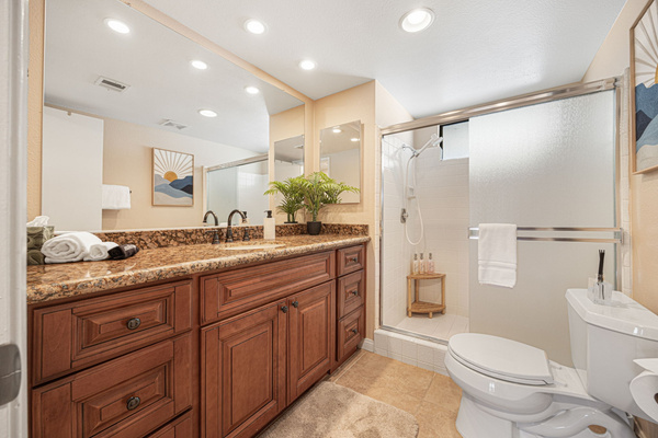 Guest bathroom