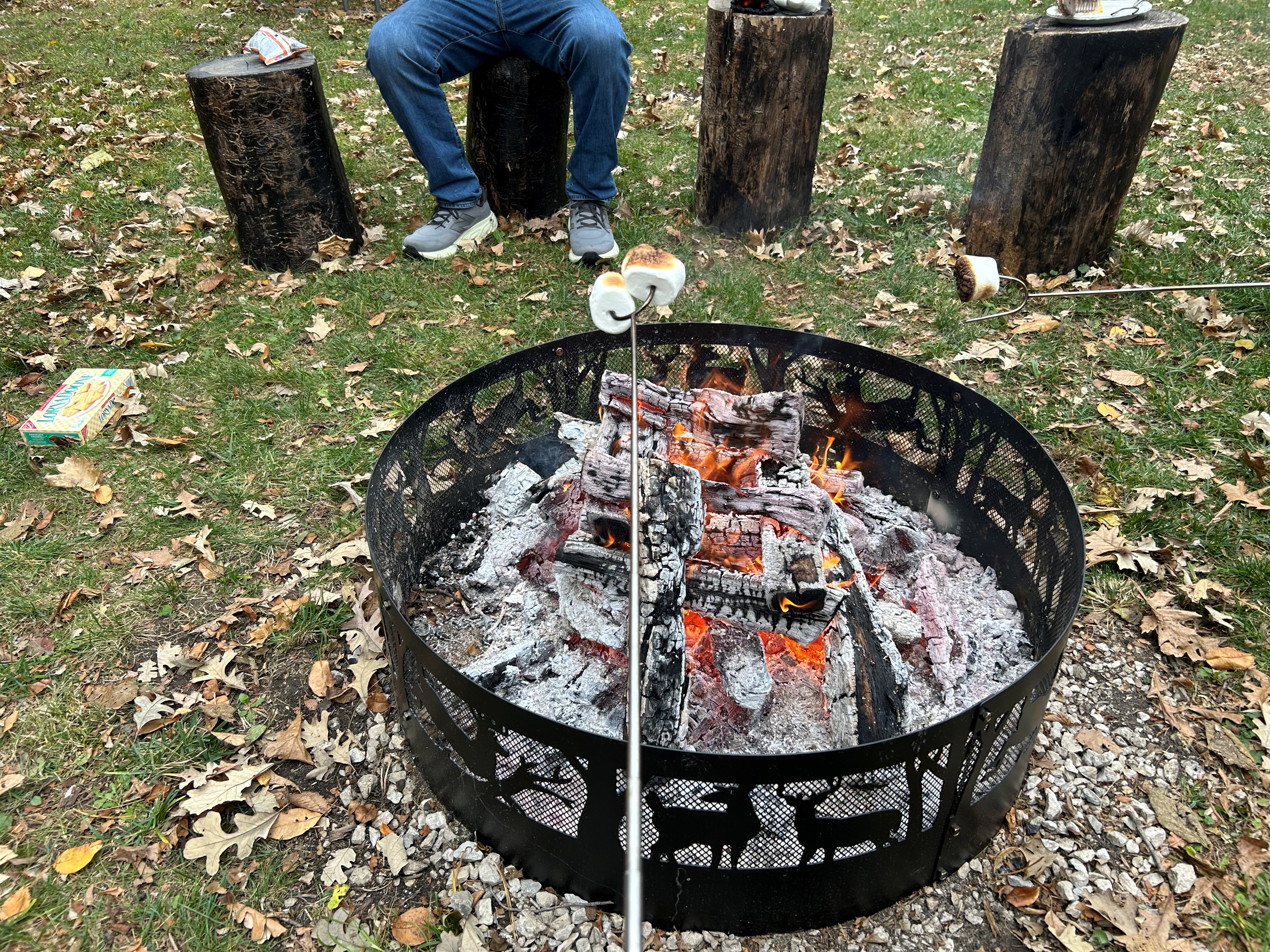 Roast marshmallows or hotdogs over a wood burning fire.
